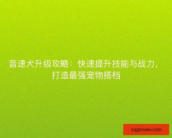 音速犬升级攻略：快速提升技能与战力，打造最强宠物搭档