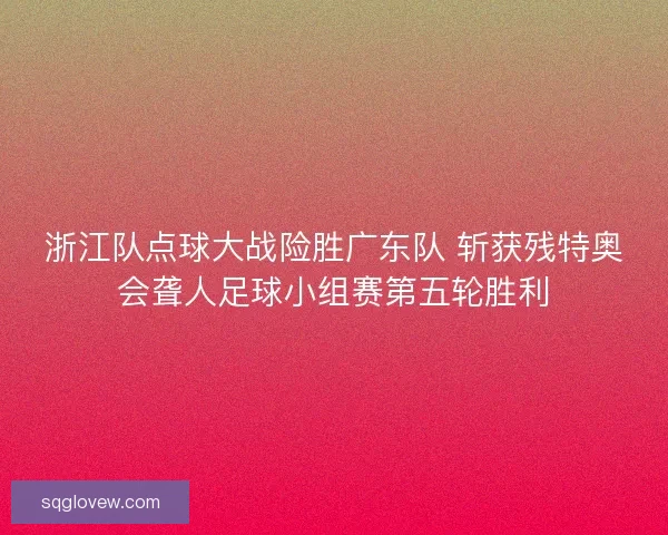 浙江队点球大战险胜广东队 斩获残特奥会聋人足球小组赛第五轮胜利