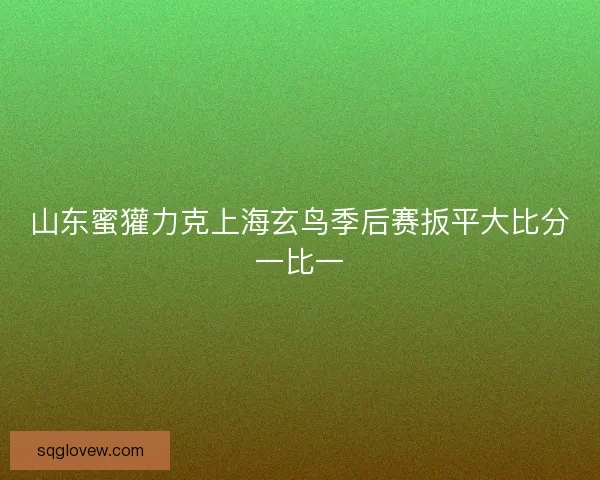山东蜜獾力克上海玄鸟季后赛扳平大比分一比一