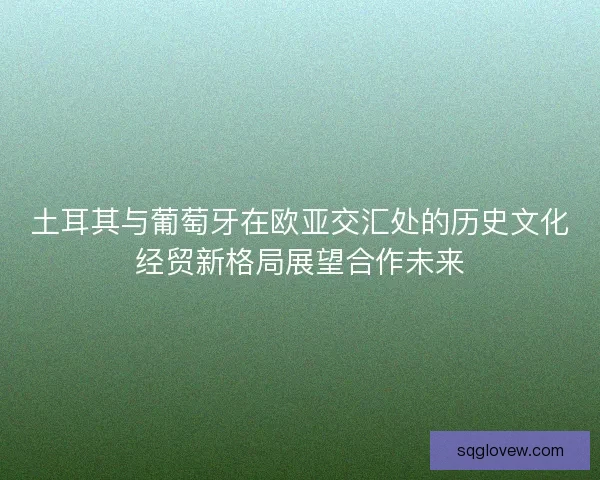 土耳其与葡萄牙在欧亚交汇处的历史文化经贸新格局展望合作未来